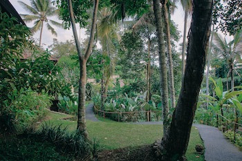 Beingsattvaa Luxury Ubud