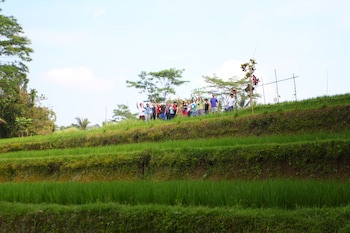 Beingsattvaa Luxury Ubud