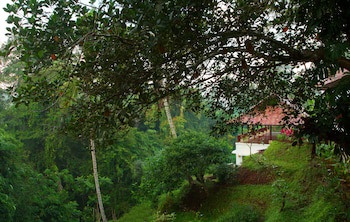Beingsattvaa Luxury Ubud
