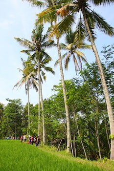 Beingsattvaa Luxury Ubud
