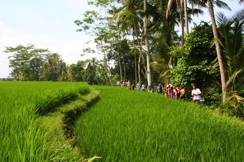 Beingsattvaa Luxury Ubud