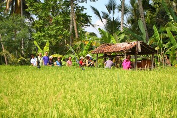 Beingsattvaa Luxury Ubud