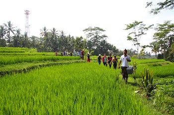 Beingsattvaa Luxury Ubud
