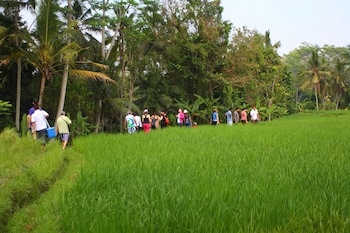 Beingsattvaa Luxury Ubud