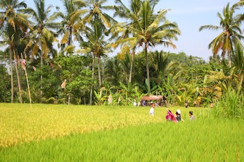 Beingsattvaa Luxury Ubud