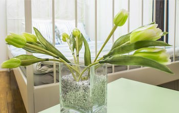 Hostel Centar