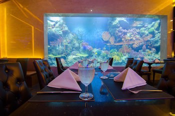 Amaranta Hotel