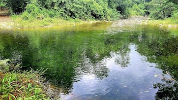 Corinto Pearl Eco Resort
