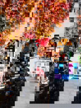 Illusion Beach Club Hotel +16 Only Adult