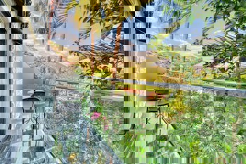 Illusion Beach Club Hotel +16 Only Adult