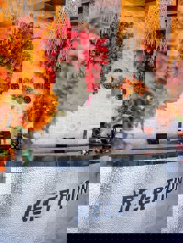 Illusion Beach Club Hotel +16 Only Adult