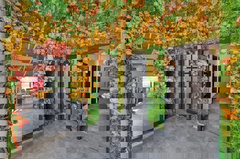 Illusion Beach Club Hotel +16 Only Adult