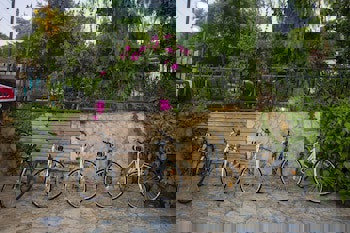 Illusion Beach Club Hotel +16 Only Adult