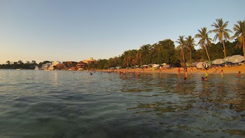Garden By The Sea