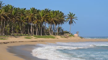 Garden By The Sea
