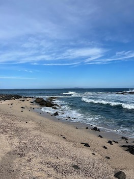 Galapagos Verde Azul