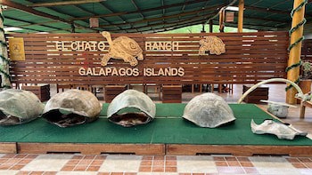 Galapagos Verde Azul