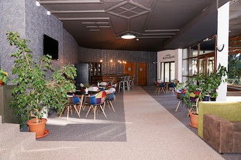 Hotel Bor