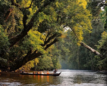 Xcape Resort At Taman Negara