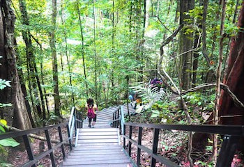 Xcape Resort At Taman Negara