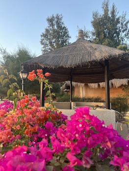 Le Saly Hotel & Hotel Club Les Filaos