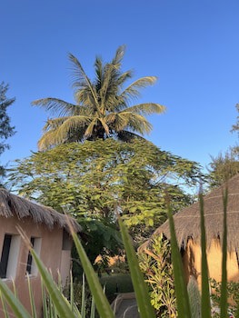 Le Saly Hotel & Hotel Club Les Filaos