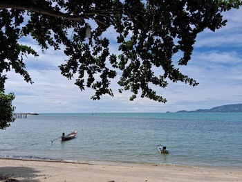 @ Samui Haus