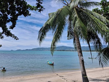 @ Samui Haus