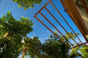 @ Samui Haus
