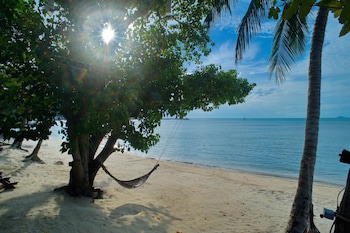 @ Samui Haus
