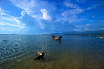 @ Samui Haus