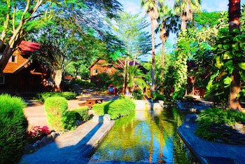 Master Bear Resort