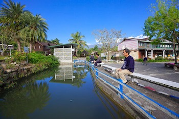 Master Bear Resort