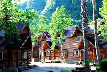 Master Bear Resort