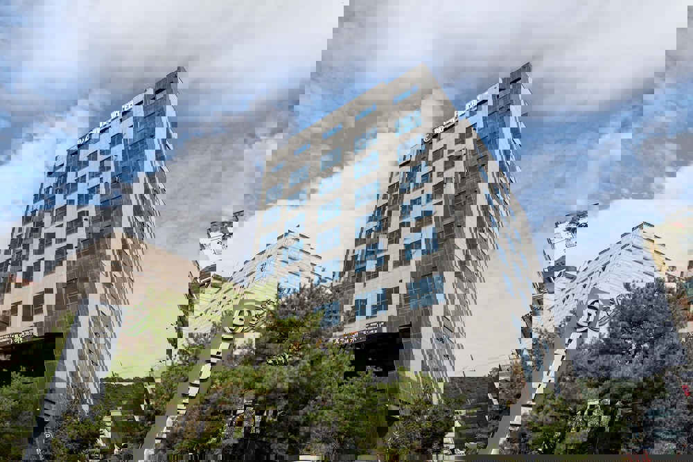 BrownDot Hotel Songdo