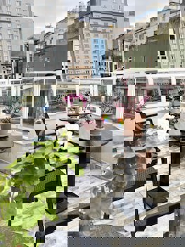 Ten Rooms Istanbul Hotel - Adults Only