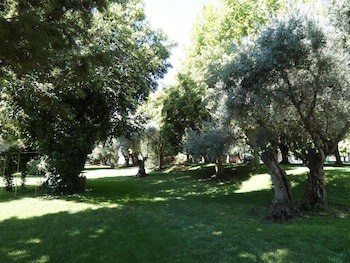 Hotel Los Olivos