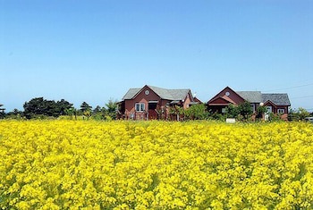 Ebbnsae Pension
