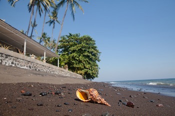 Bondalem Beach Club