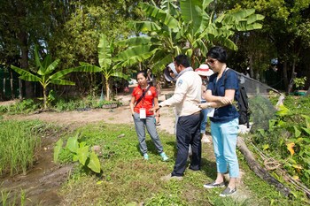 Bong Thom Home Stay