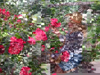 Meleklerevi Cave Hotel