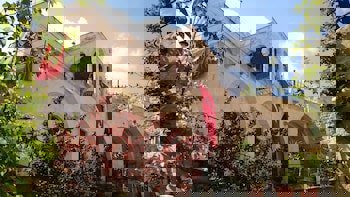 Meleklerevi Cave Hotel