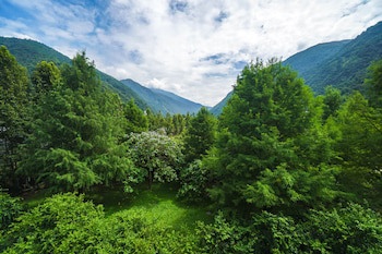 Tai Yi Red Maple Resort