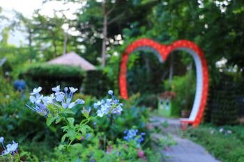Tai Yi Red Maple Resort
