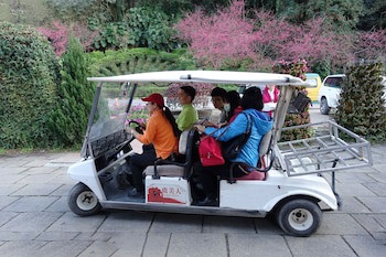 Tai Yi Red Maple Resort