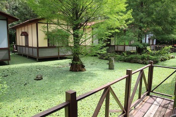 Tai Yi Red Maple Resort