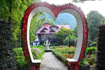 Tai Yi Red Maple Resort