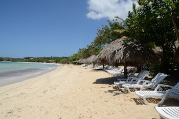 Paradise Island Beach Resort