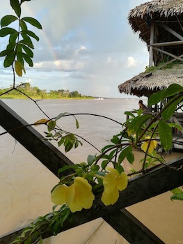 Kurupira Cabin Floating