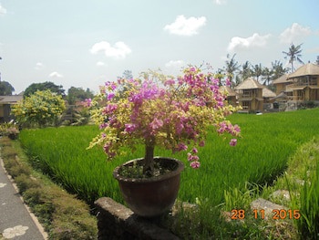 Biyukukung Suites & Spa
